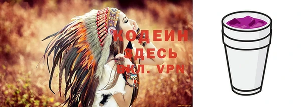 прущий лед Арсеньев
